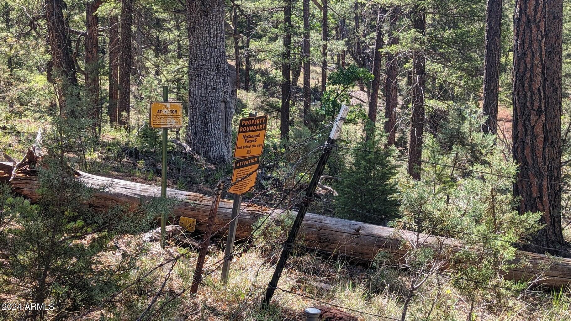 Gordon Canyon - Residential