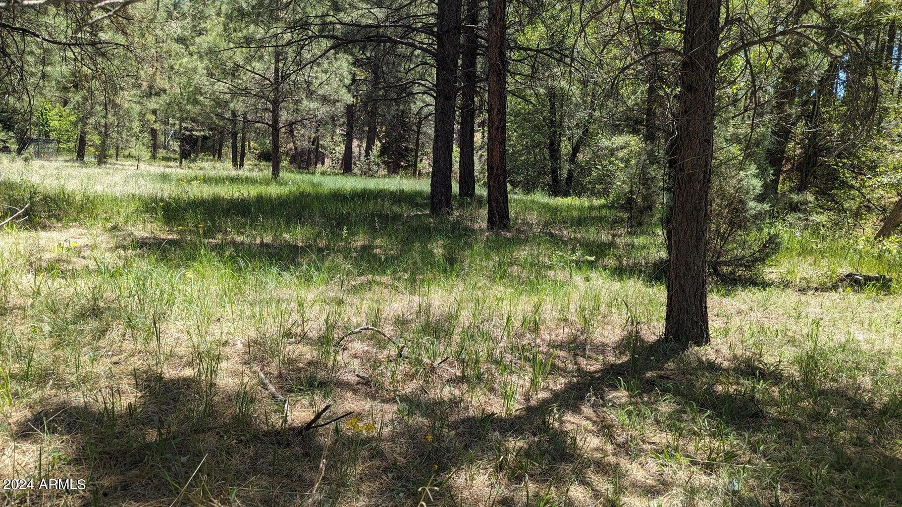 Gordon Canyon - Residential