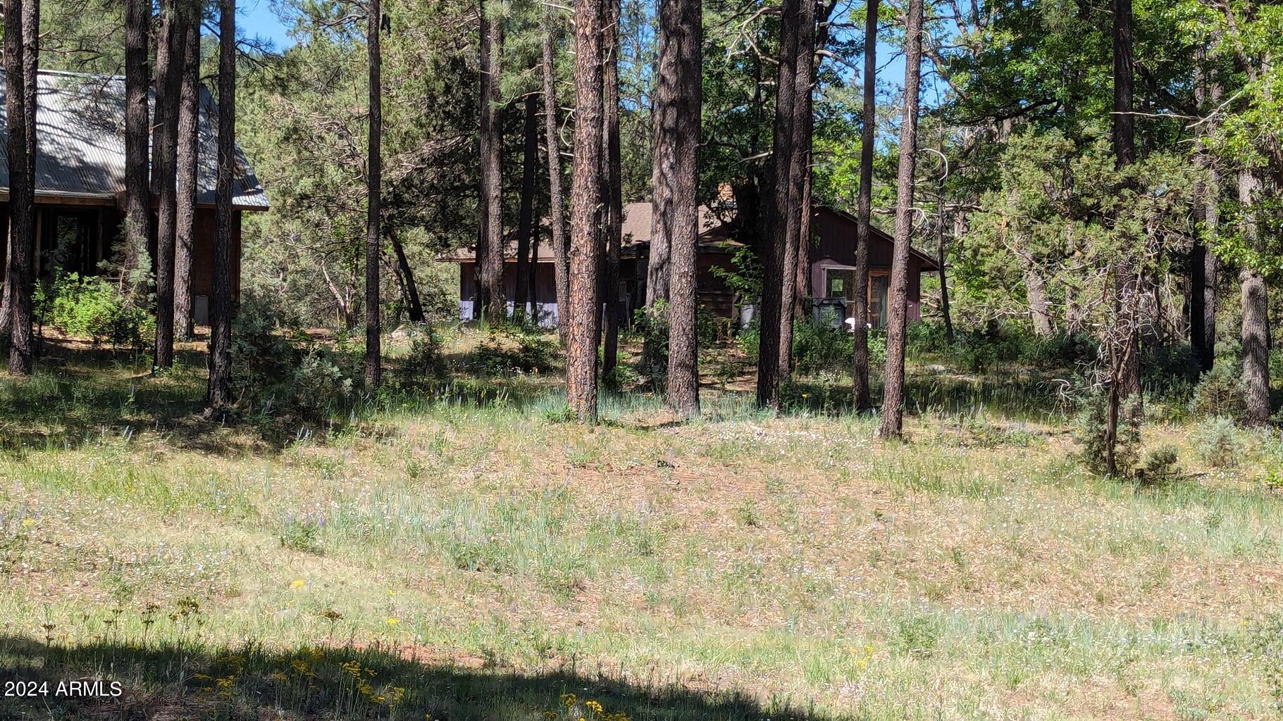 23.97 Acres, includes this 1 acre property with a 2 bedroom, 1 bath cabin, bath house. This includes 303-15-001C & 303-15-002, must be sold together. Borders Gordon Canyon Creek and USFS land on 3 sides. Previously used as a retreat center. Historic site of Gordon Canyon School which was moved to Pioneer Village. A road runs through the property. Great area for Elk, Deer, Turkey and much more. Very private and quite.