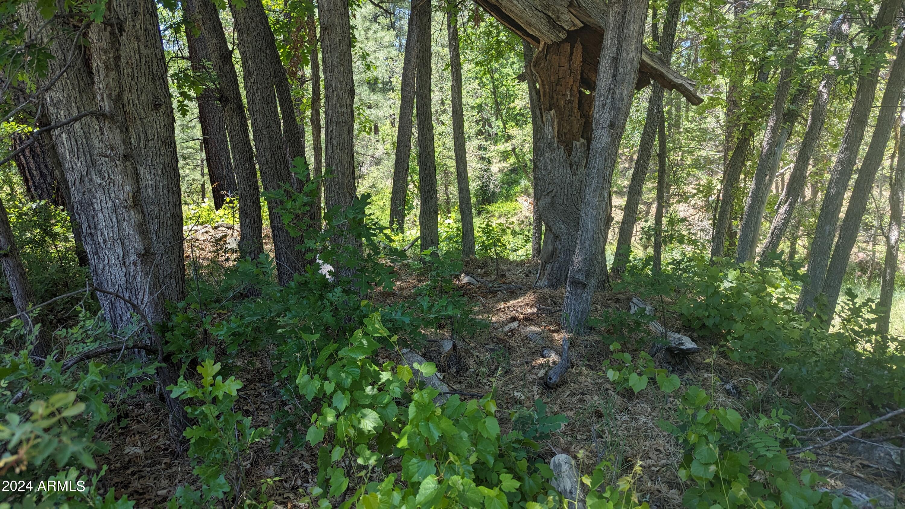 Gordon Canyon - Residential