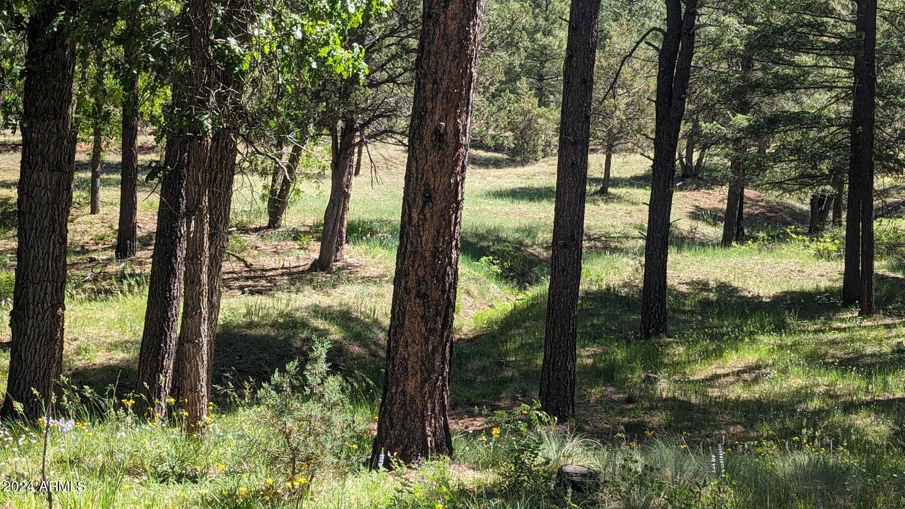 Gordon Canyon - Residential