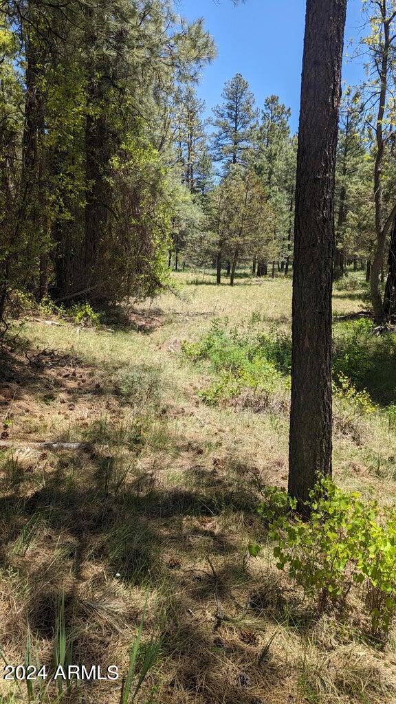 Gordon Canyon - Residential