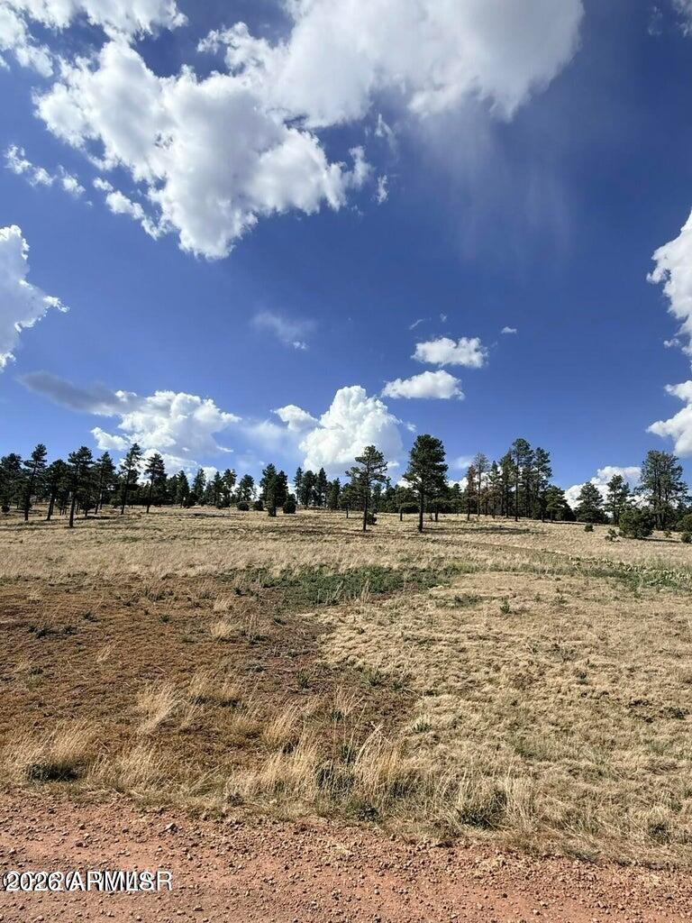 RANCH/ALPINE AMD - Land