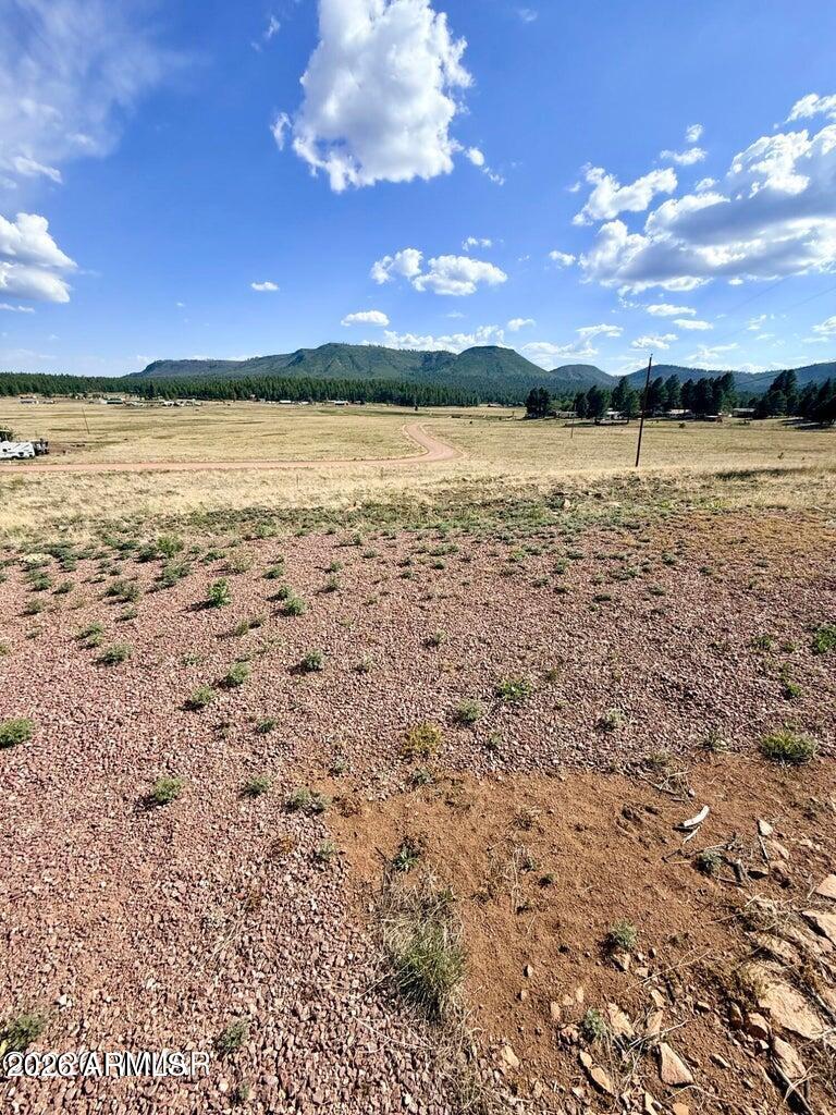 RANCH/ALPINE AMD - Land