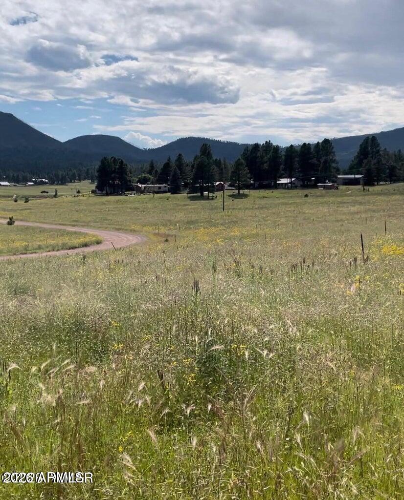RANCH/ALPINE AMD - Land