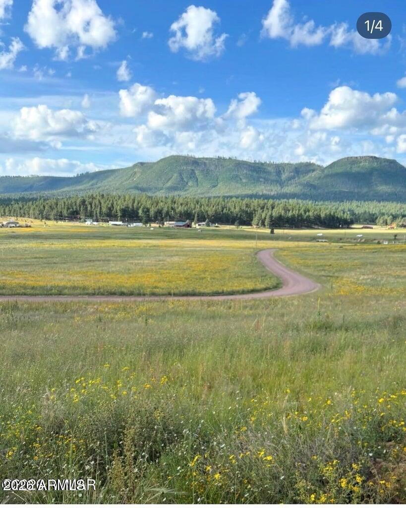 RANCH/ALPINE AMD - Land
