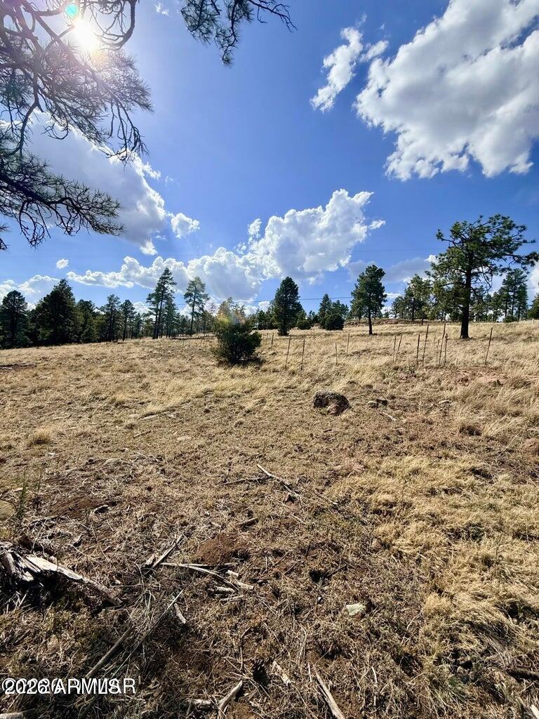 RANCH/ALPINE AMD - Land