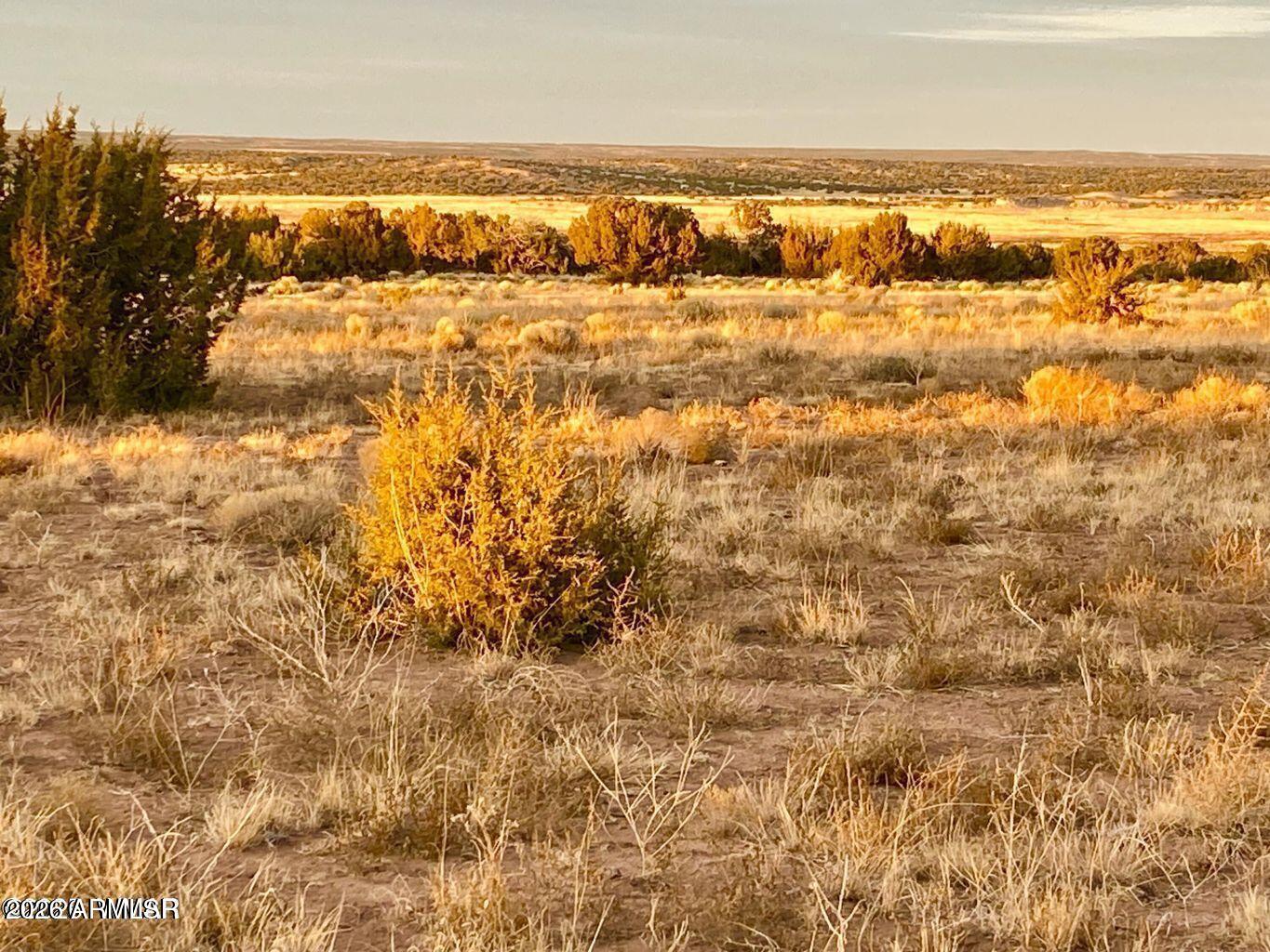 Woodland Valley Ranch - Land