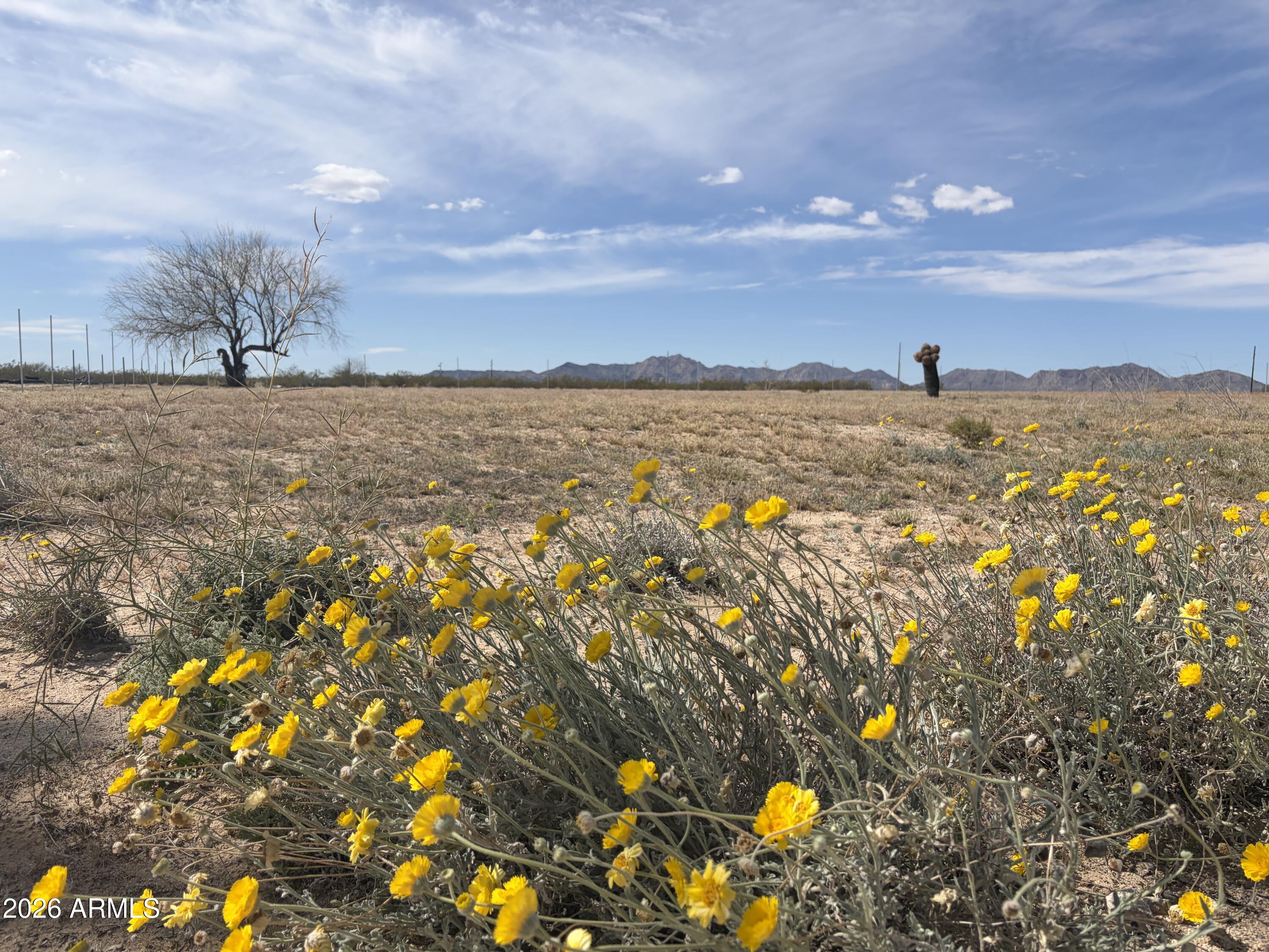 Discover the beauty of wide-open desert living on this 1.013-acre parcel in Salome, Arizona. Zoned R-A, lots of posibilities. It offers stunning mountain views and plenty of space to bring your vision to life--whether you're planning a custom home, winter retreat, or simply a place to enjoy the peaceful desert landscape. Conveniently located just near US Hwy 60, the property provides easy access while still offering the quiet and privacy of rural Arizona living. The generous parcel size and accessible location make this an excellent opportunity for those seeking space, scenery, and convenience in one package.