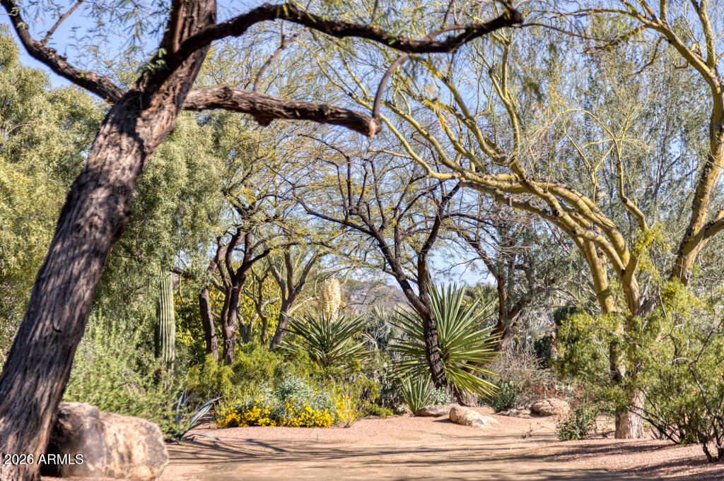 JOKAKE CAMELBACK PROPERTIES TRACT A - Residential