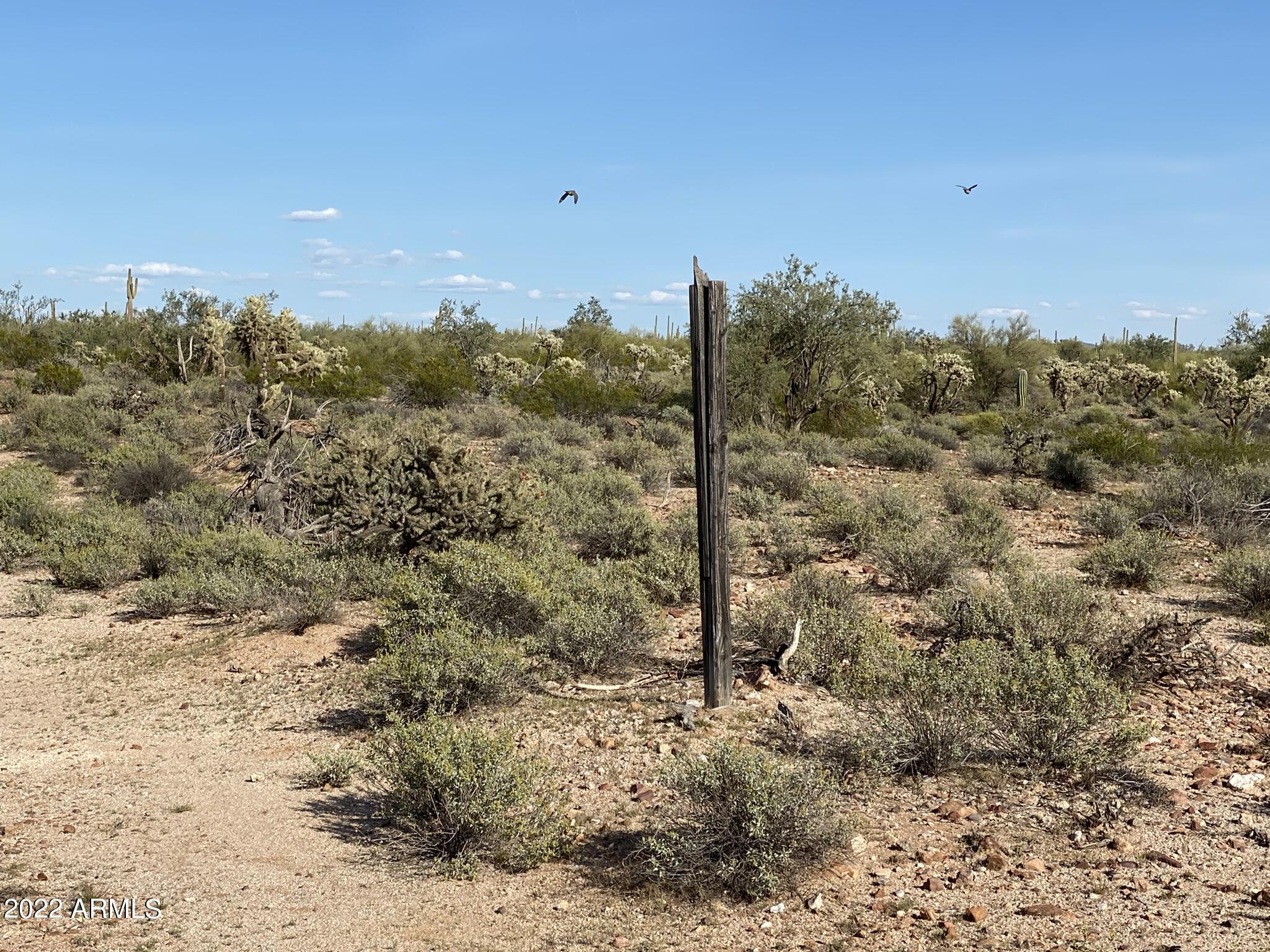 Long Legal - Land