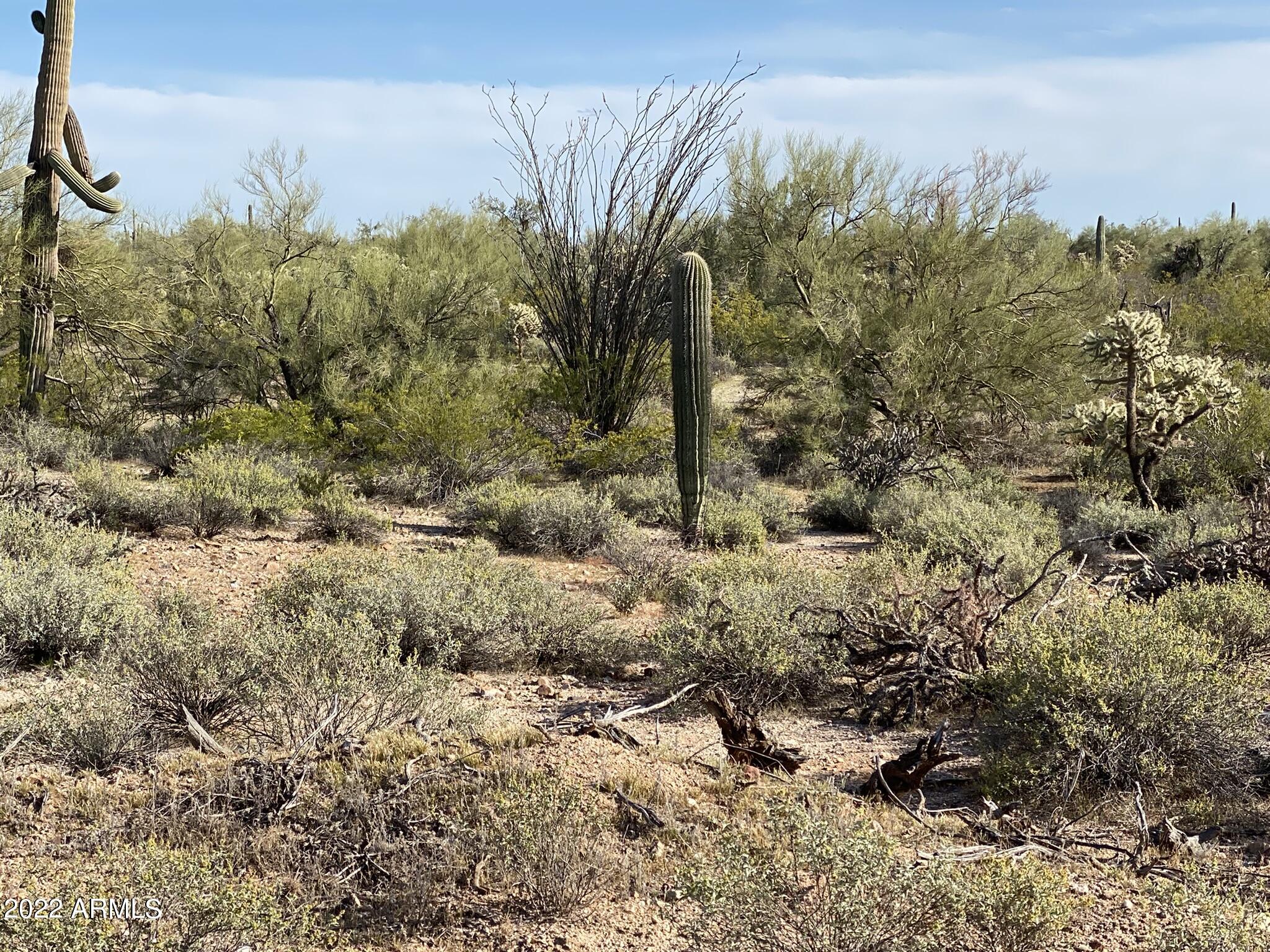 Ready to leave the population behind?!  This is a beautiful piece of desert land with gorgeous vegetation, quiet oasis, dark skies filled with evening stars.  Near power and state land... Bring your imagination!!!