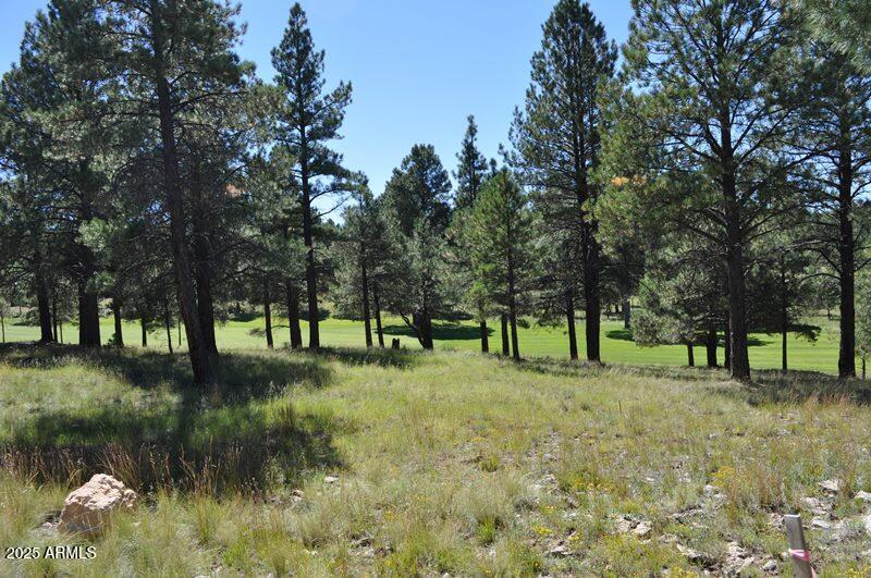 Tucked at the end of a quiet cul-de-sac, this exceptional homesite captures sweeping views of Pine Canyon's award-winning golf course and The Yard sports field. Its gently sloping terrain offers endless possibilities for your custom mountain retreat--perfectly blending natural beauty, recreation, and serene privacy.