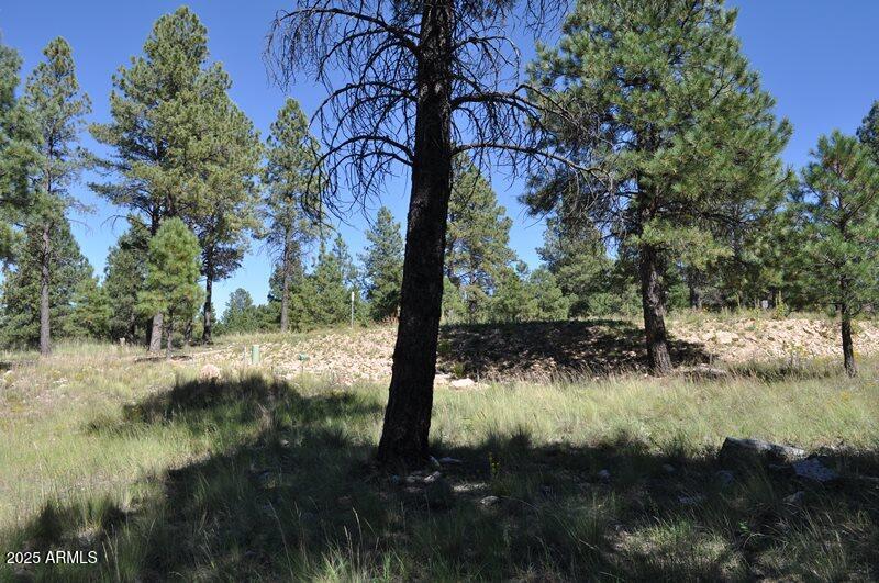 Pine Canyon - Land