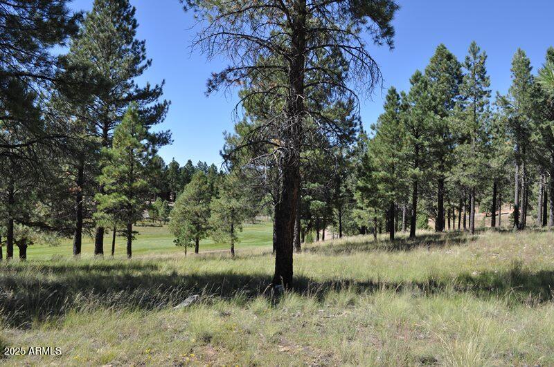 Pine Canyon - Land