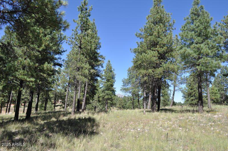 Pine Canyon - Land