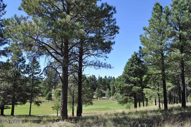 Pine Canyon - Land