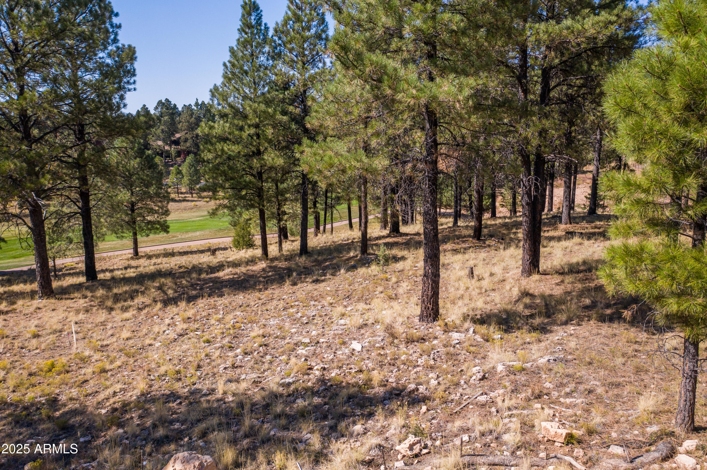 Pine Canyon - Land