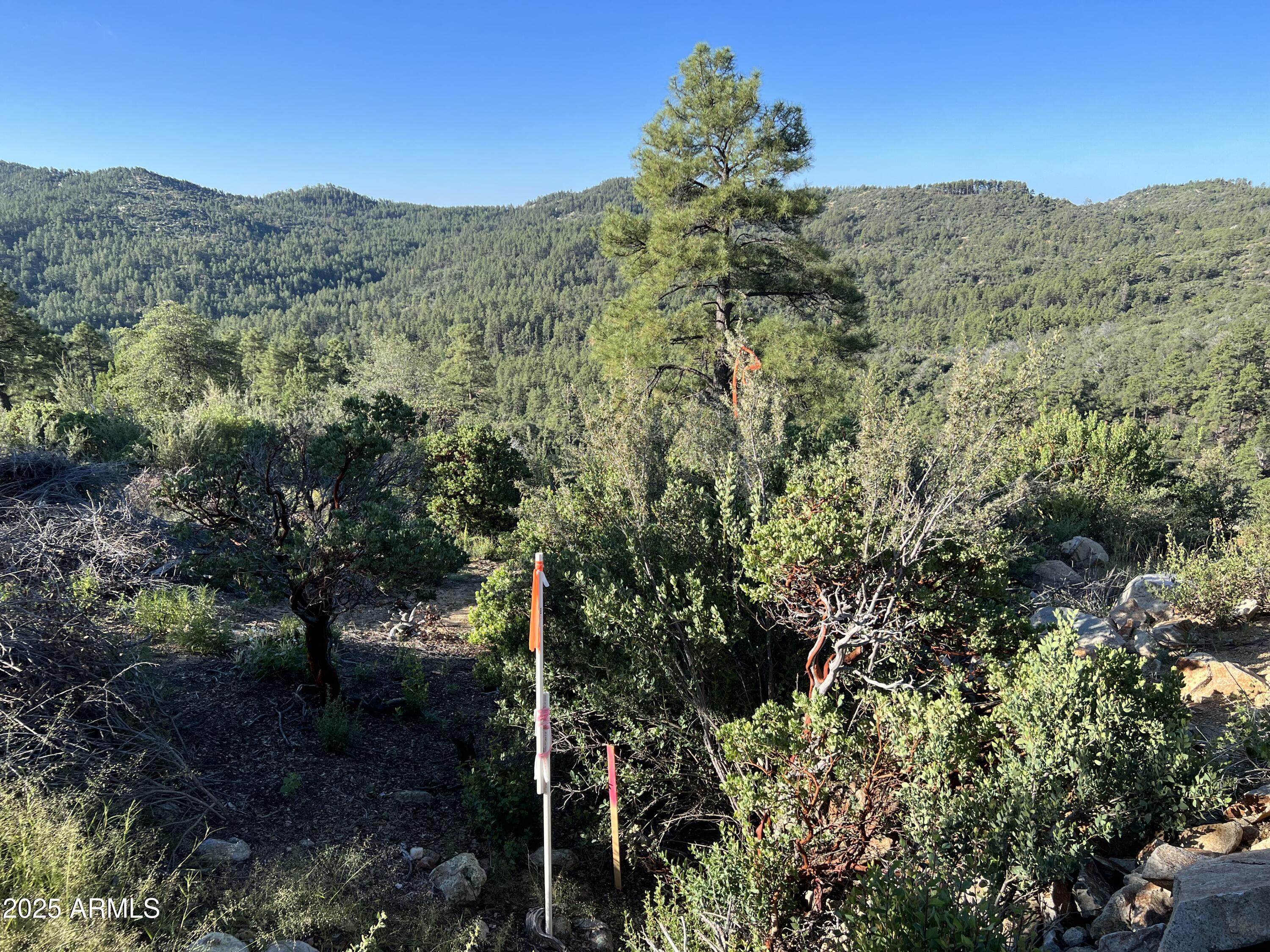 Build your very own custom Crown King cabin high above the town. Amazing views in all directions and surrounded by tall Ponderosa Pines. Enjoy your privacy from this very secluded lot. Small building pad and driveway already installed. There are several other great options for building sites on this parcel.  APS electric nearby. This parcel also borders Prescott National Forest. Crown King is known for its tight-knit community and historic charm, with a small-town feel and an abundance of outdoor activities. Enjoy off-roading, camping, and fishing in the Prescott National Forest. Only 1 1/2 hrs from North Phx, yet far from ordinary. Long time owner hates to part with this beautiful property. Make it yours today!
