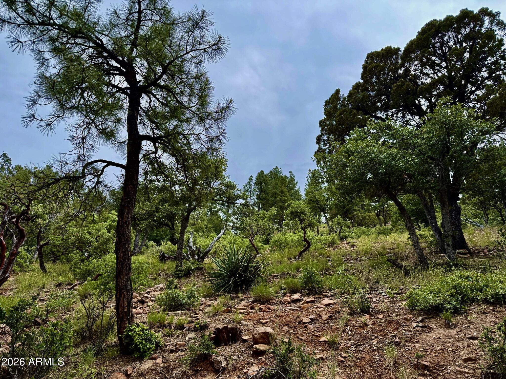 Beautiful mountain-view lot in the desirable gated community of Portal Pine Creek Canyon in Pine, AZ. Surrounded by towering pines, abundant wildlife, and serene common area, this great homesite offers an ideal peaceful setting for a custom mountain retreat or getaway cabin. Enjoy sweeping views, cool mountain living, nearby USFS hiking trails, and community amenities including tennis court and playground. Water meter already installed and ready to build.