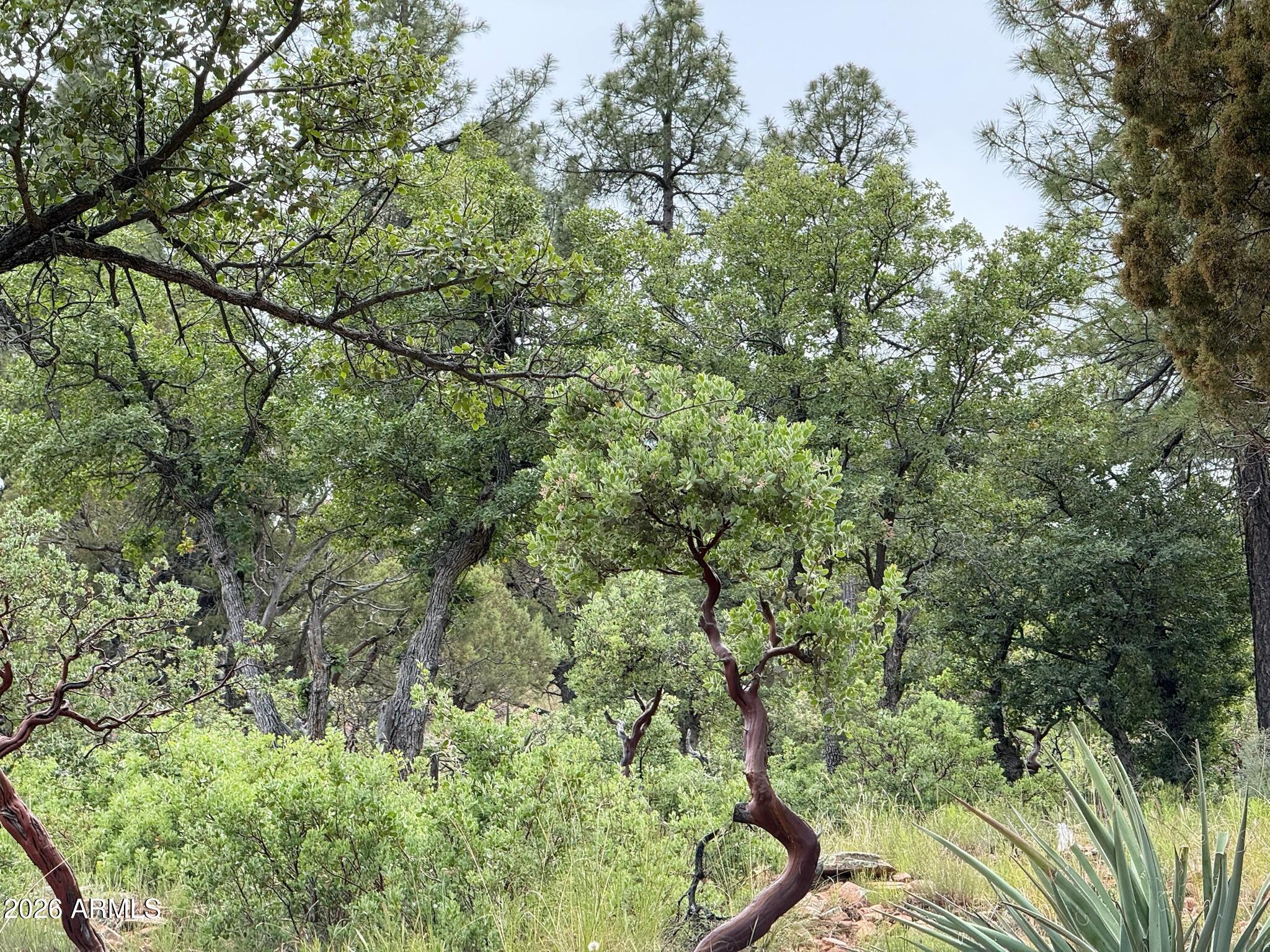 PORTAL PINE CREEK CANYON 2 - Land