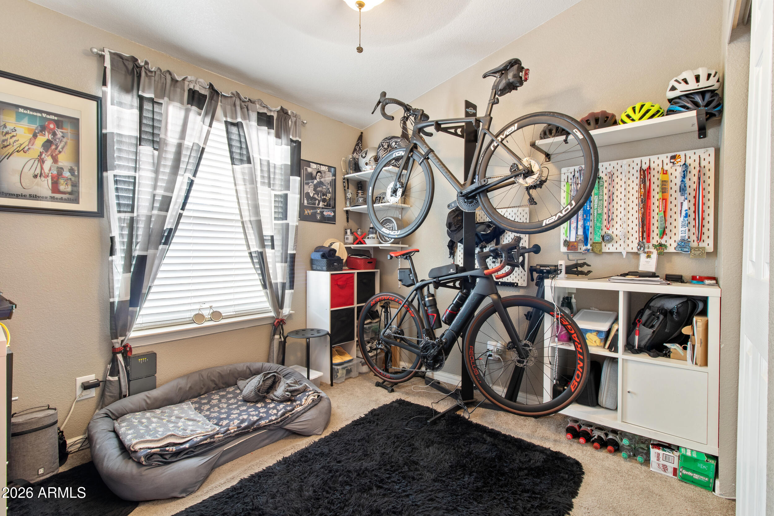 CHAPARRAL VILLAGE - Residential