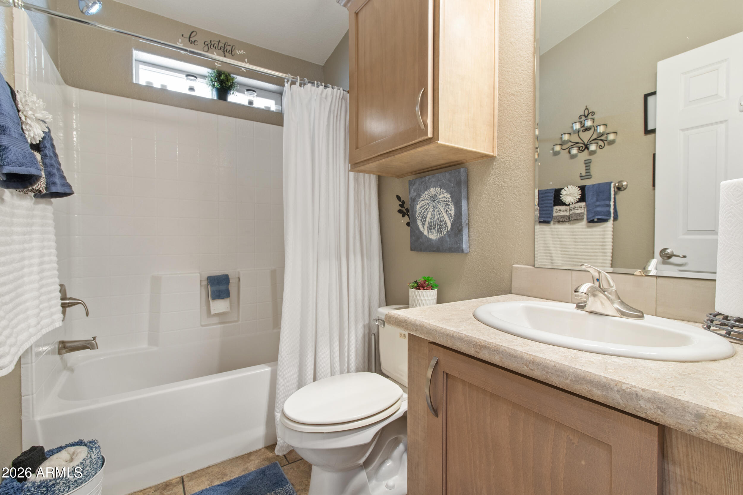 CHAPARRAL VILLAGE - Residential