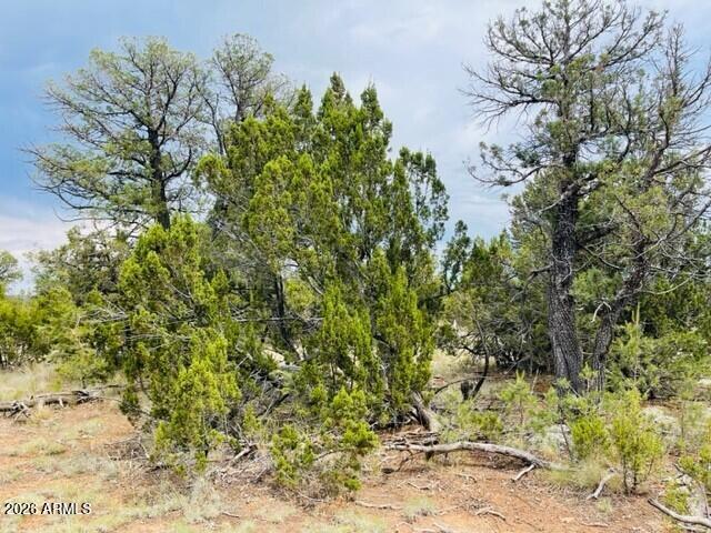 MOGOLLON RANCH 2 - Land