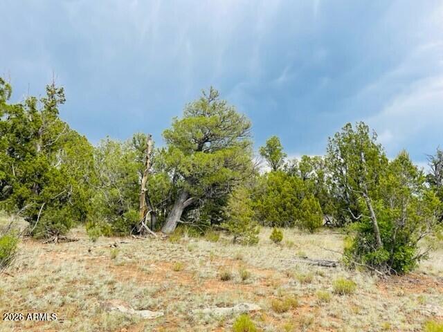 MOGOLLON RANCH 2 - Land