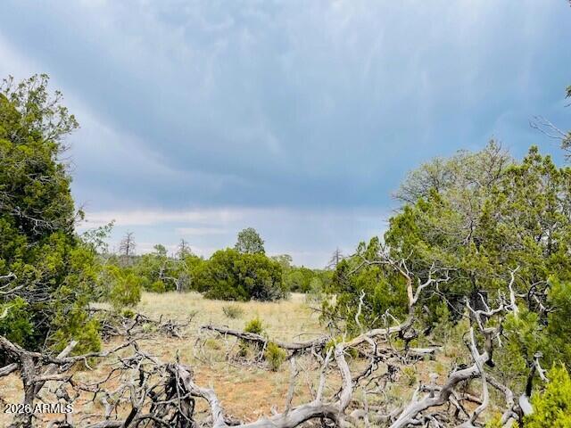 MOGOLLON RANCH 2 - Land