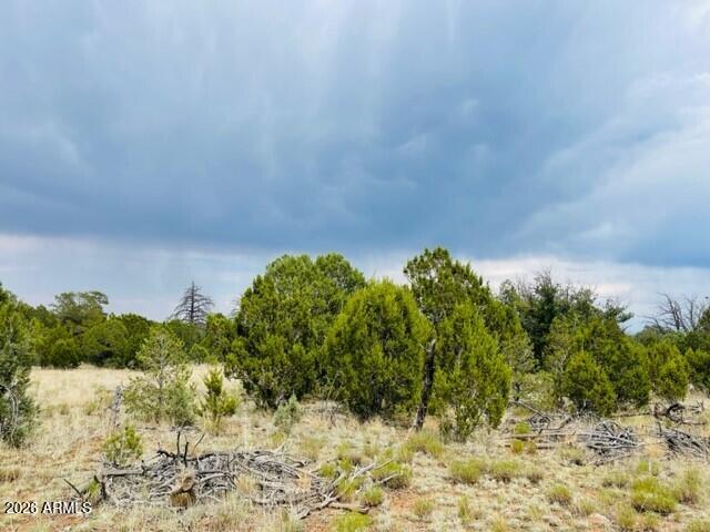 MOGOLLON RANCH 2 - Land