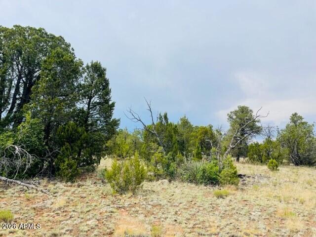 MOGOLLON RANCH 2 - Land