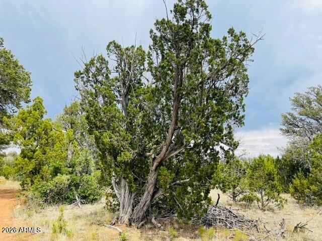 MOGOLLON RANCH 2 - Land