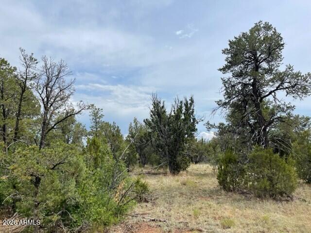 Looking for your own slice of Heaven? Almost 6 acres (5.9) of nicely treed, with a variety of many kinds. Level lot for building, runs next to a Forest access road for your convenience to trails for hiking, biking, UTVs or horseback riding.  Don't  miss the tranquility and serenity of this lot, watch the wildlife, enjoy the 4 seasons and sunsets from your future deck. Lot has water and electricity available to the lot line, will need septic system installed. BACKS UP TO  NATIONAL FOREST.