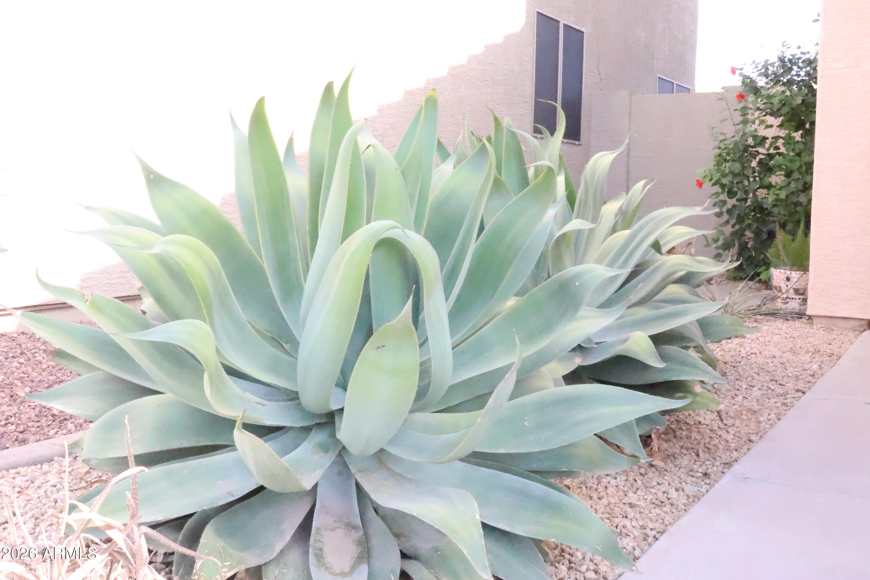 ARROYO ROJO - Residential