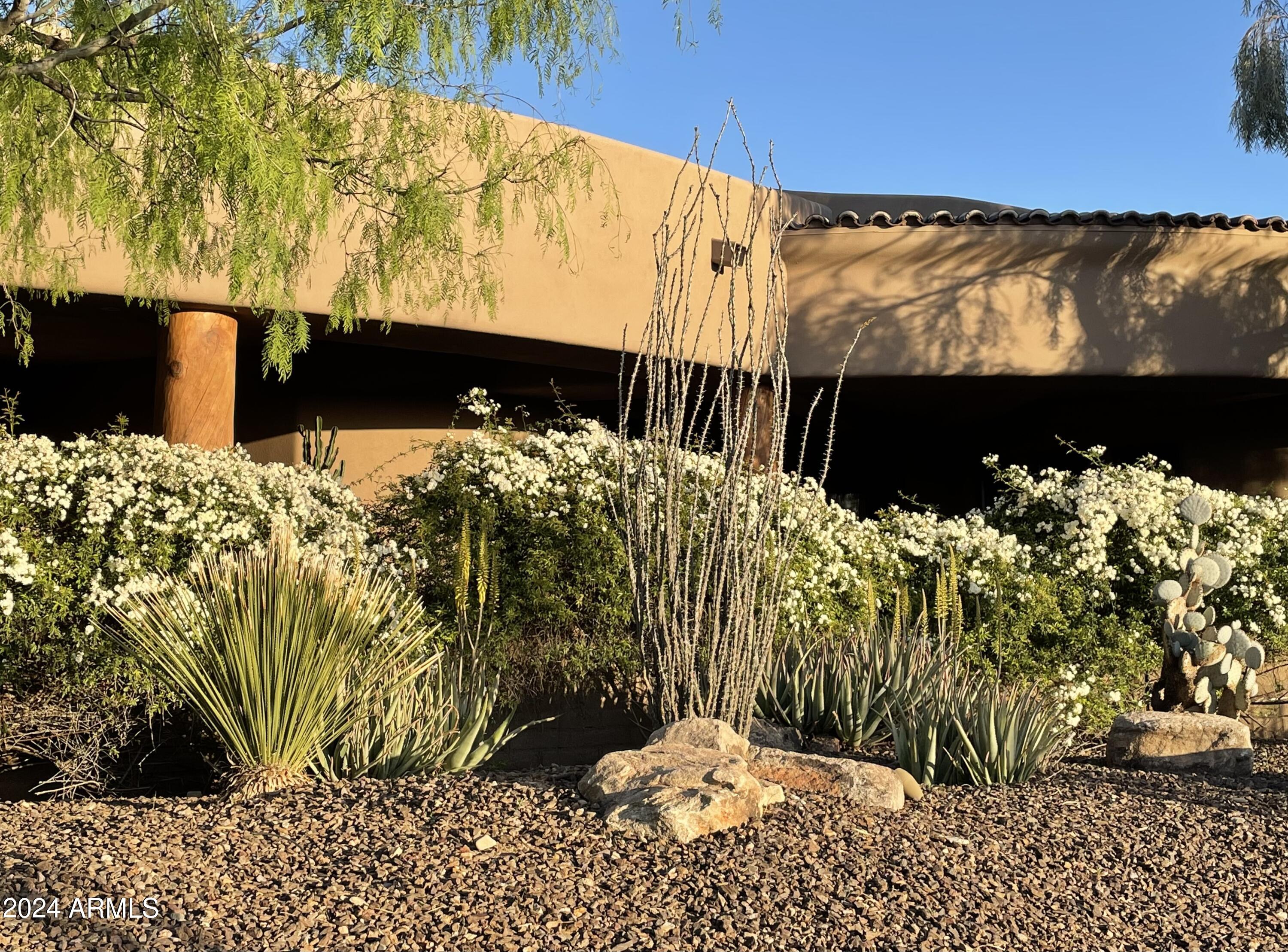 OCOTILLO RIDGE ESTATES - Residential