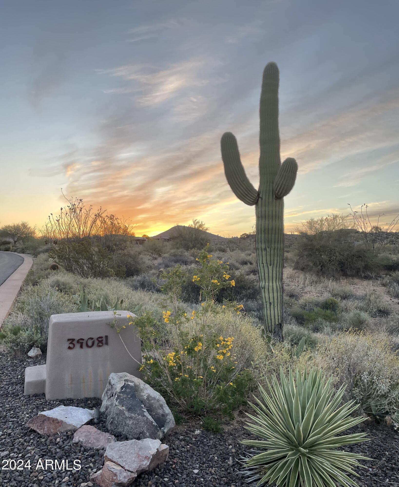 OCOTILLO RIDGE ESTATES - Residential