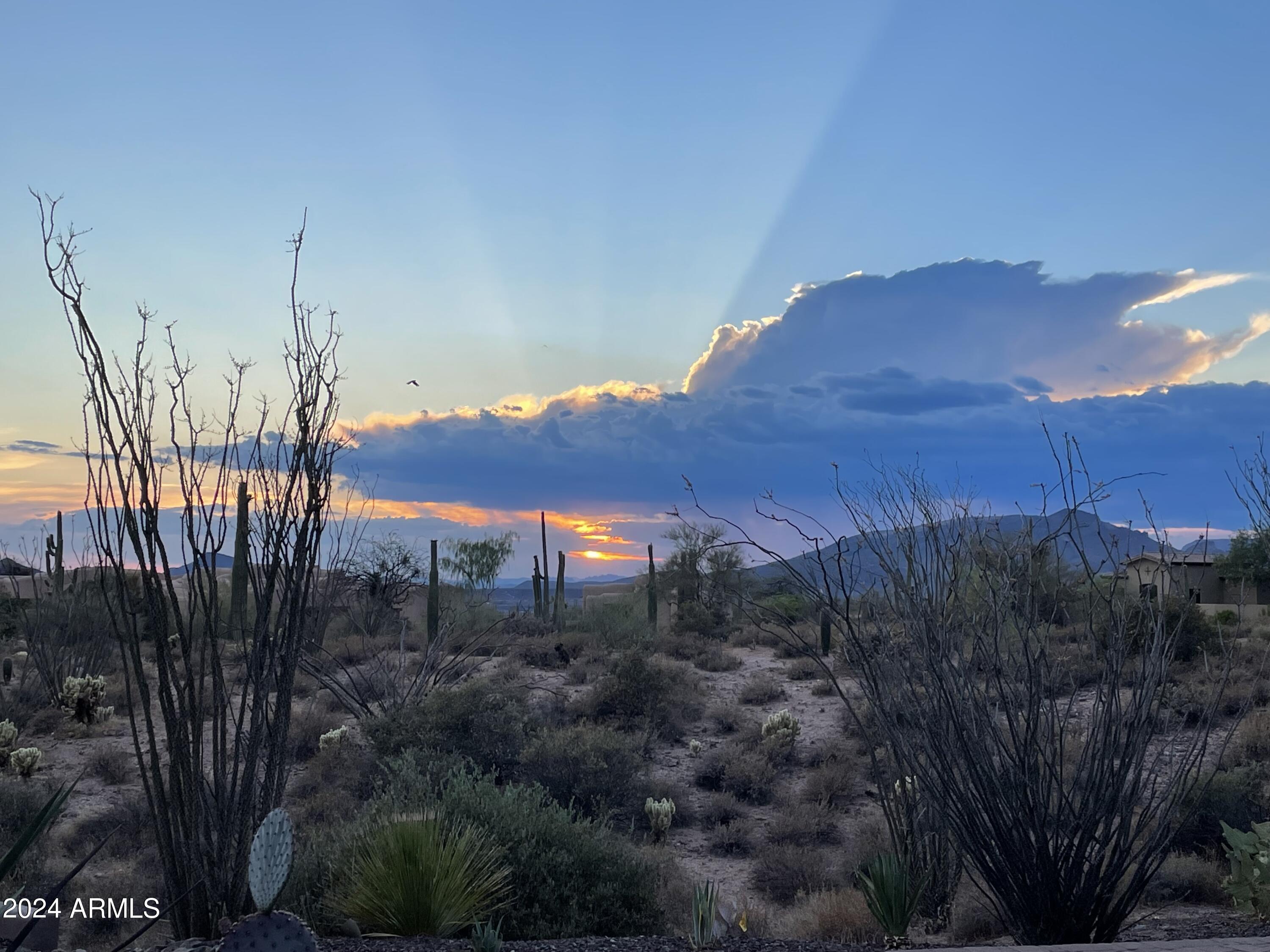OCOTILLO RIDGE ESTATES - Residential