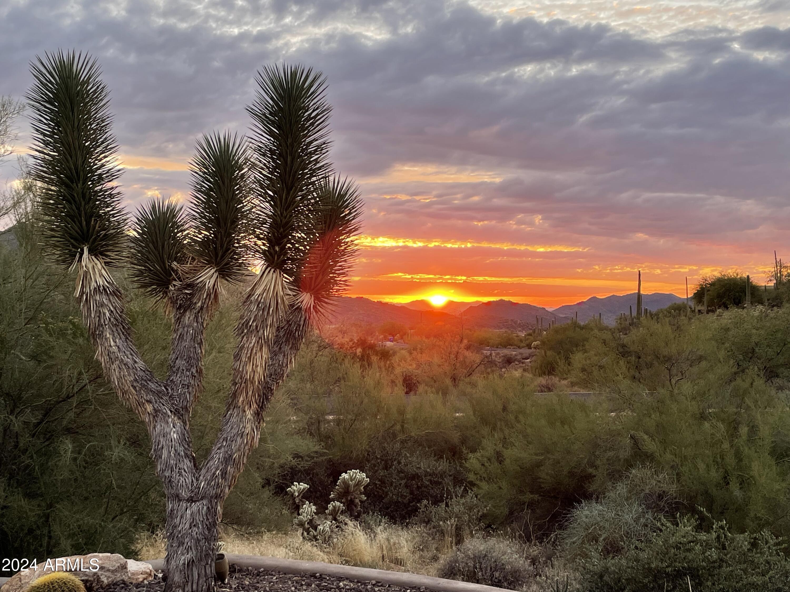 OCOTILLO RIDGE ESTATES - Residential