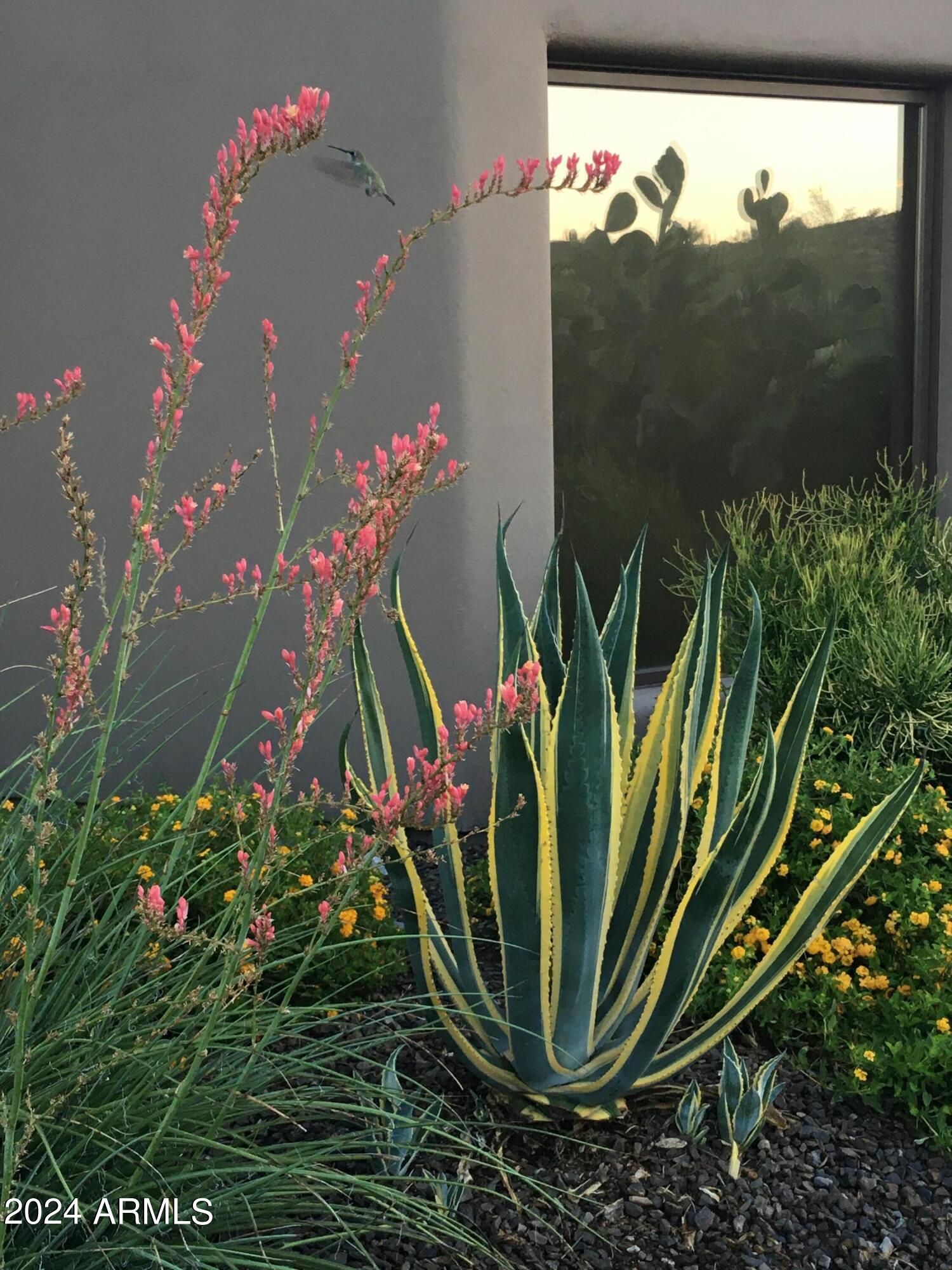 OCOTILLO RIDGE ESTATES - Residential