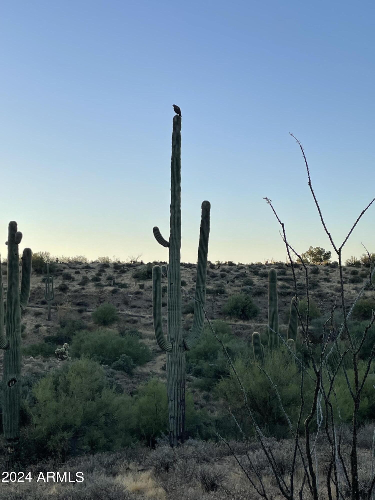 OCOTILLO RIDGE ESTATES - Residential