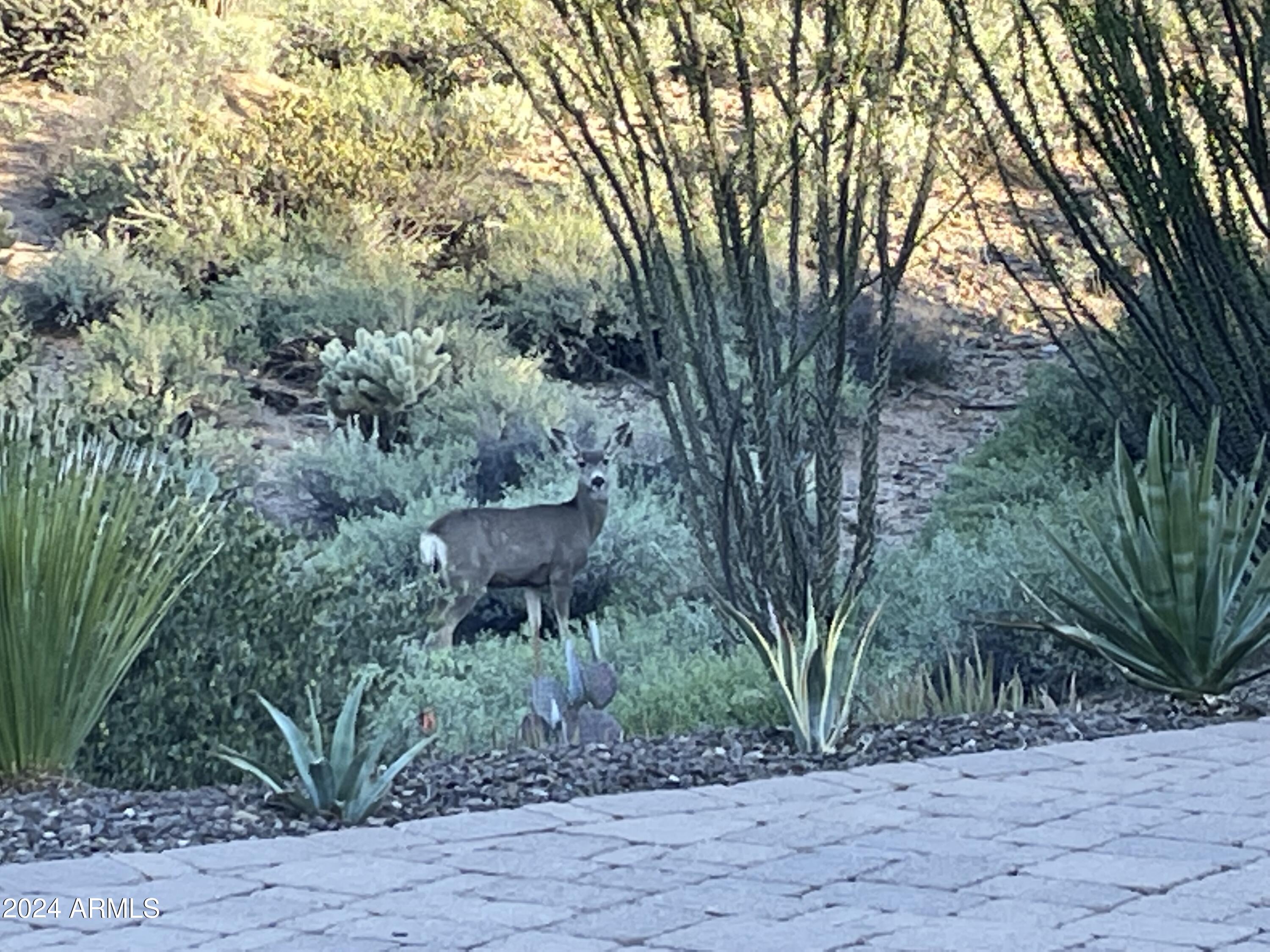 OCOTILLO RIDGE ESTATES - Residential