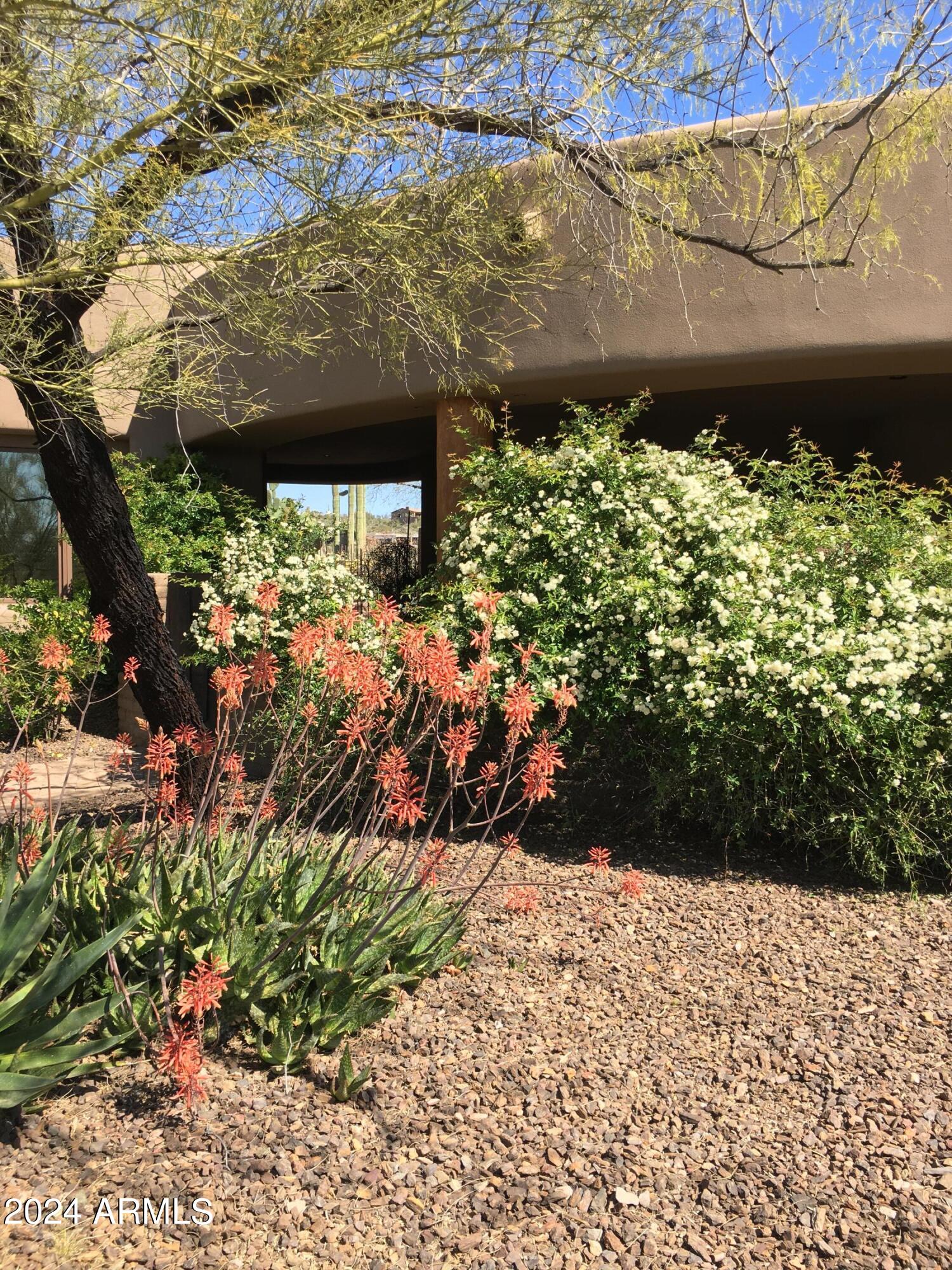OCOTILLO RIDGE ESTATES - Residential