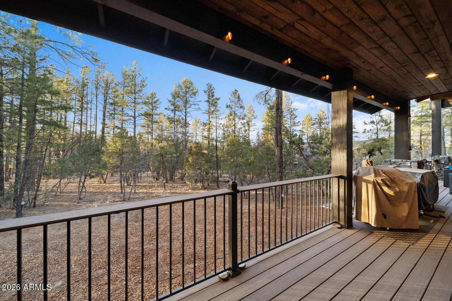 Torreon Lakes - Residential