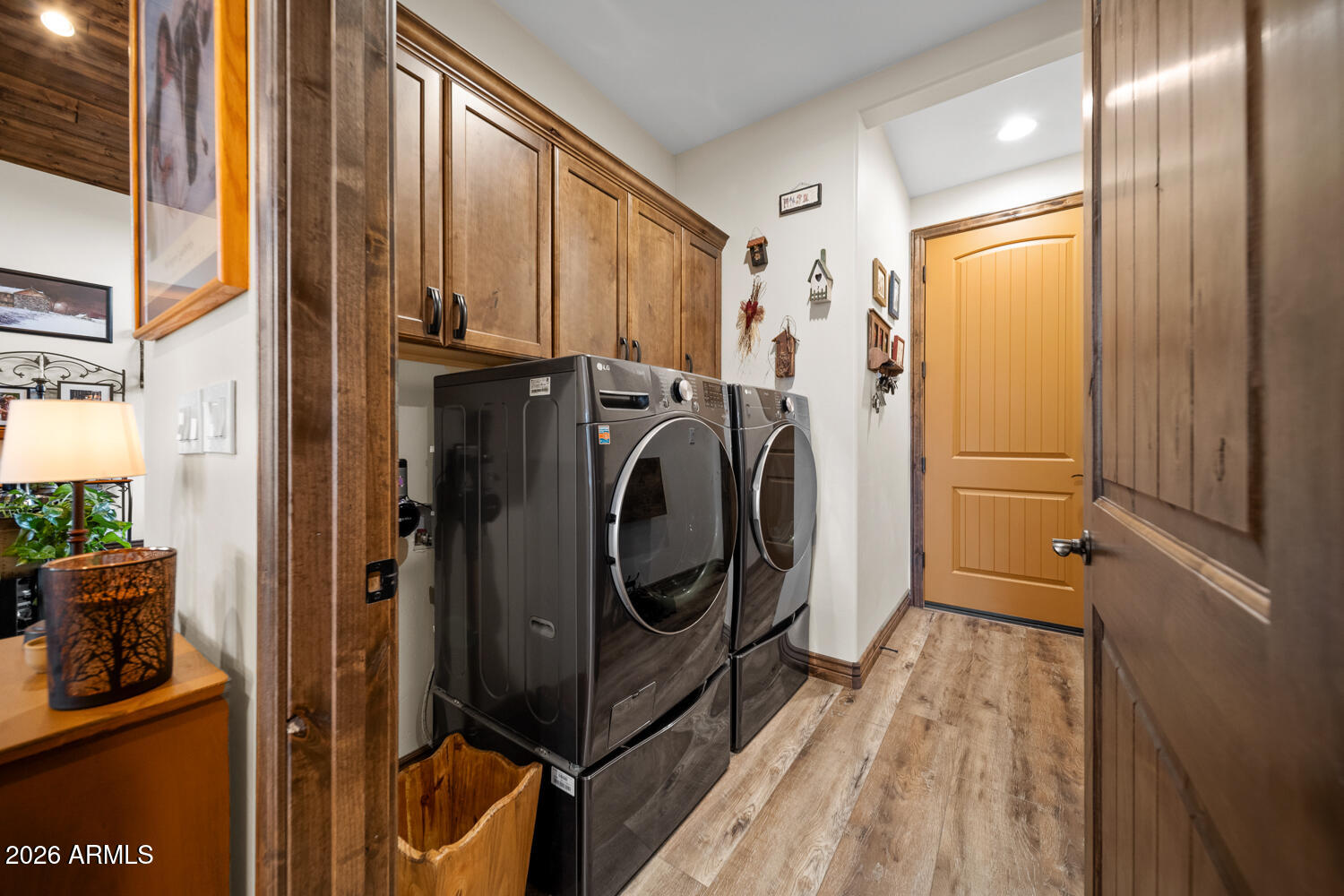 Torreon Lakes - Residential