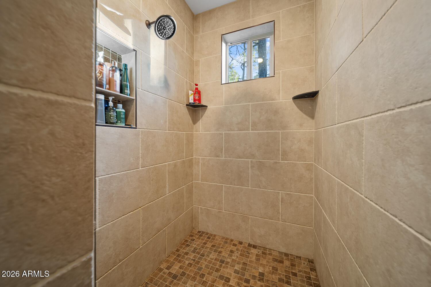 Torreon Lakes - Residential