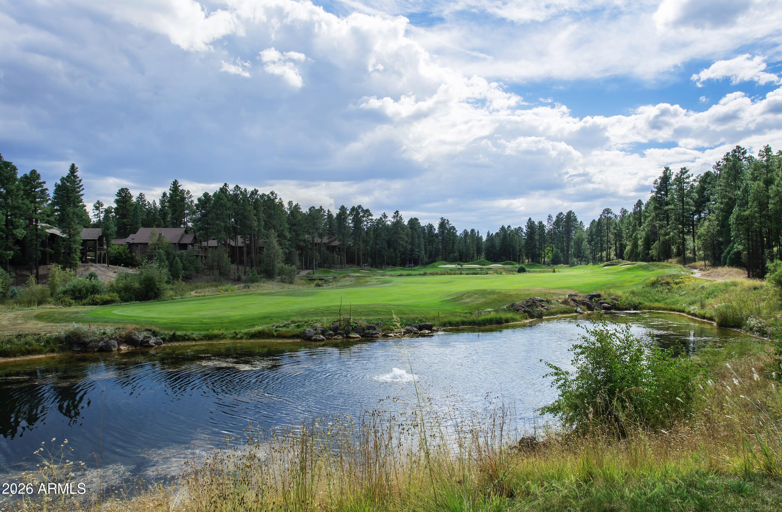 Torreon Lakes - Residential