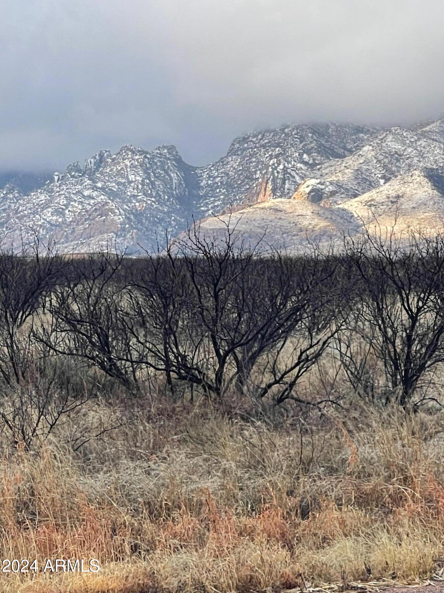 DEER HAVEN RANCHES - Land