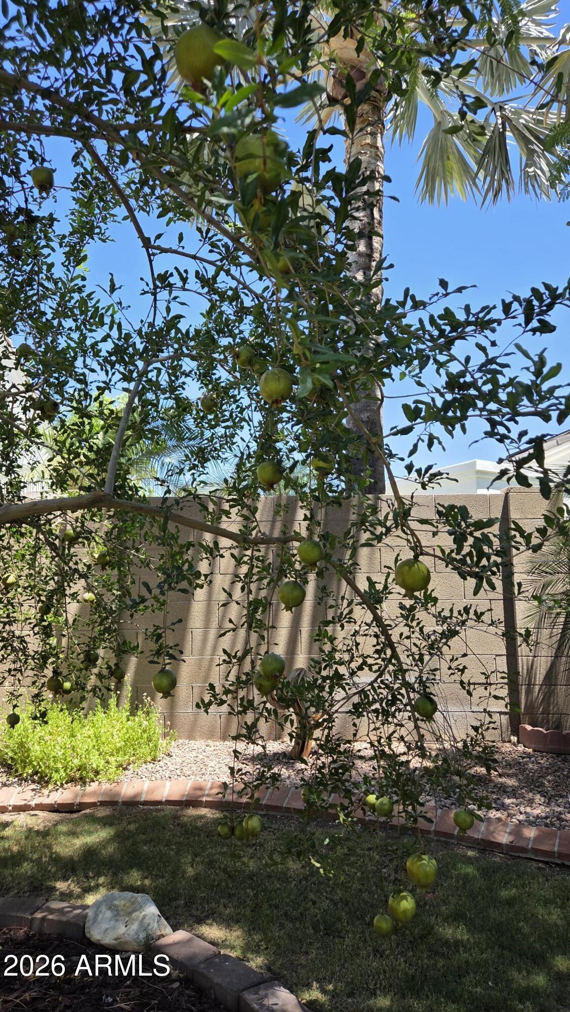 CIMARRON HILLS 3 - Residential Lease