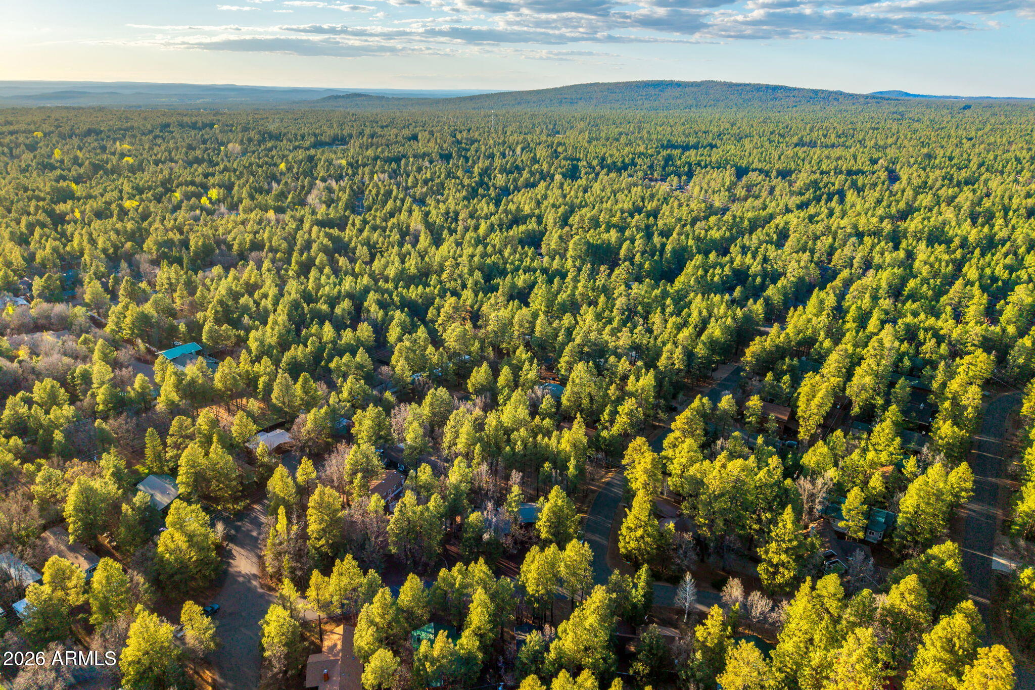 PINETOP LAKES MOUNTAIN HOMES UNIT 1 - Residential